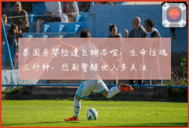 泰国弃婴险遭巨蜥吞噬，生命惊魂三秒钟，悲剧警醒世人多关注