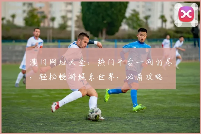 澳门网址大全，热门平台一网打尽，轻松畅游娱乐世界，必看攻略