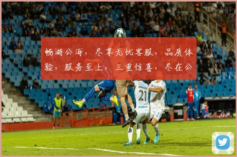 畅游公海，尽享无忧客服，品质体验，服务至上，三重惊喜，尽在公海客服平台