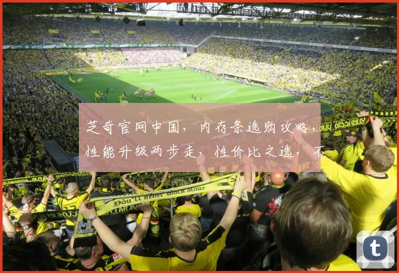 芝奇官网中国，内存条选购攻略，性能升级两步走，性价比之选，不容错过